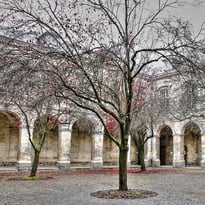 Cloître Dewailly