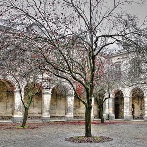 Cloître Dewailly