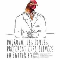 Pourquoi les Poules Préfèrent Être Élevées en Batterie