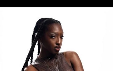Ebony et première partie