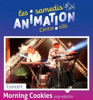 Morning Cookies