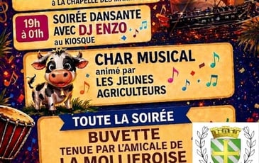 Animations musicales à Cayeux-sur-Mer