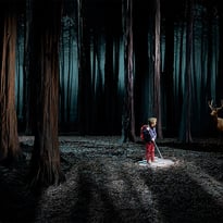Le Bruit des loups