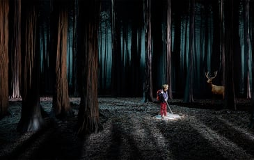 Le Bruit des loups