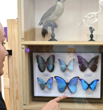 Les Popup de l'Histoire Naturelle