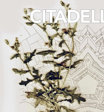 Citadelle