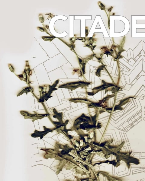Citadelle