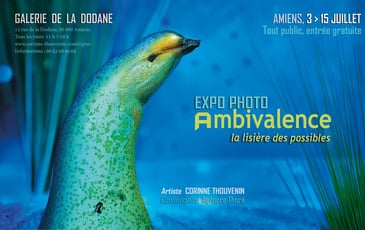 Ambivalence, la lisière des possibles
