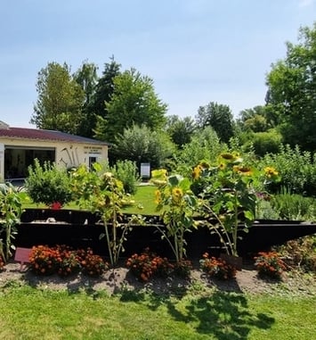 Visites guidées au Musée des Hortillonnages
