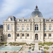 Projection de fonds photographiques