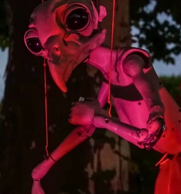 Echo(e)s