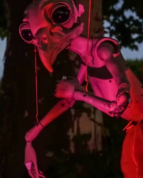 Echo(e)s