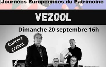 Vezool en concert