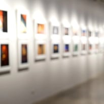 Exposition les Herbiers d’Émilie Vast par les Éditions Memo