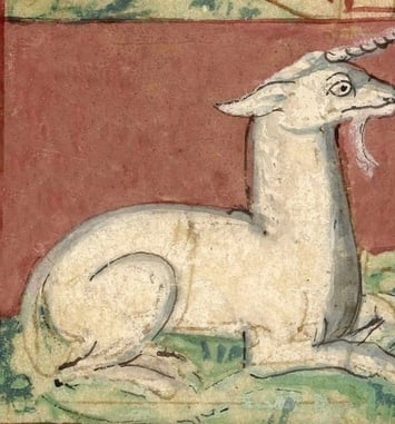 Pause Enchantée « le bestiaire fabuleux »