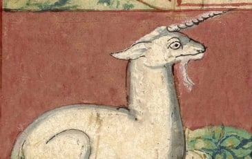 Pause Enchantée « le bestiaire fabuleux »