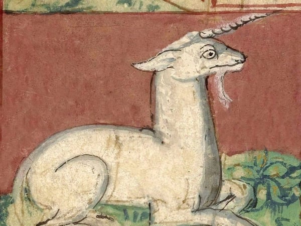 Pause Enchantée « le bestiaire fabuleux »