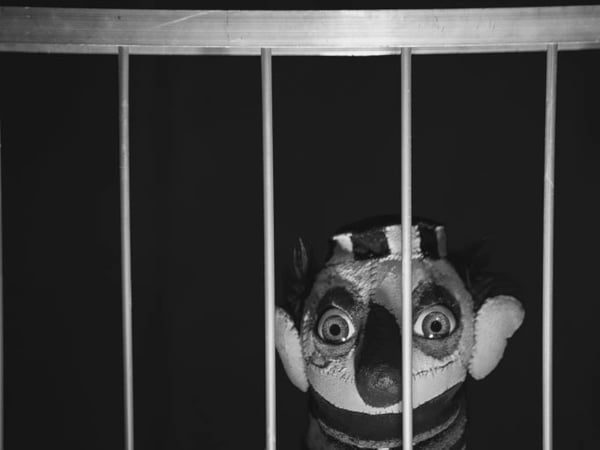 Un personnage sans histoire