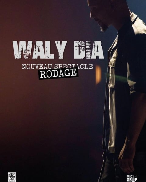 Waly Dia dans Freestyle vol. 3