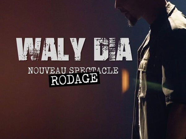 Waly Dia dans Freestyle vol. 3