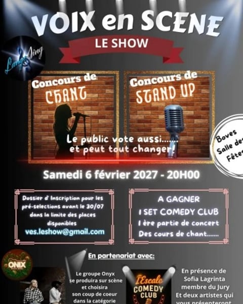 Voix en scène, le show