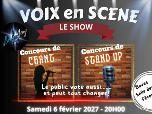 Voix en scène, le show