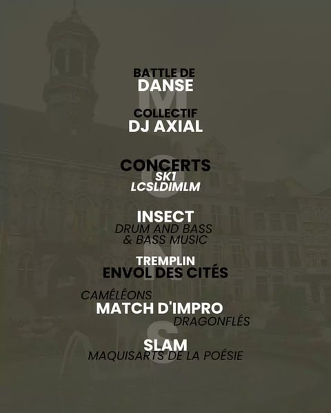 Festival à Mons Tournée #Belgitude