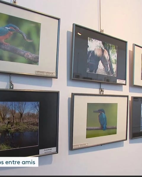 Exposition « Les Amis de l’Image »