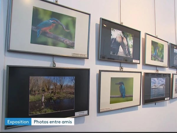 Exposition « Les Amis de l’Image »